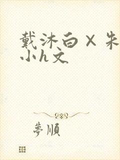 戴沐白×朱竹清小h文封面