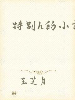 特别h的小说