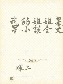 我的姐姐是大明星小说全文阅读