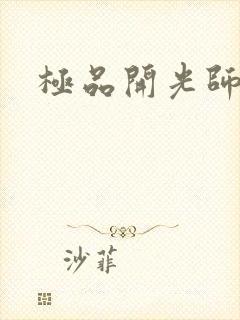 极品开光师