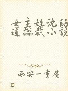 女主姓沈的和霸道总裁小说