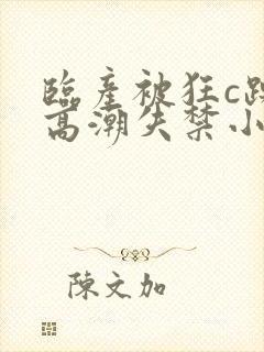 临产被狂c躁到高潮失禁小说封面