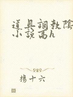 道具调教阴蒂黄小说高h封面