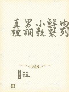 直男小鲜肉小陈被调教系列