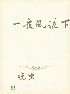 一夜风流下载封面
