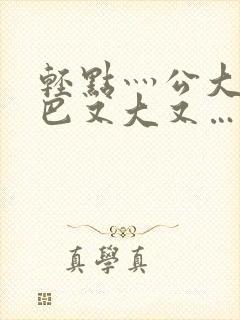 轻点灬公大ji巴又大又…小说