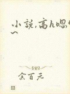 小说,高h嗯啊~