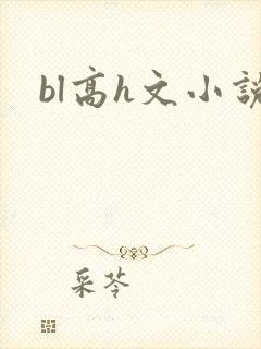 bl高h文小说