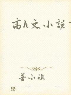 高h文小说言情封面