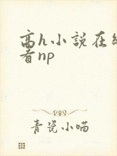高h小说在线观看np