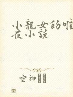 小龙女的唯美初夜小说