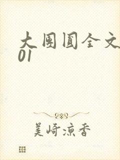 大团圆全文阅读01封面