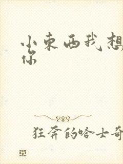 小东西我想弄坏你