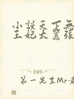 小说天下无双之王妃太嚣张