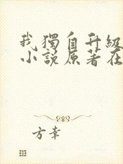 我独自升级诸神小说原著在线阅读