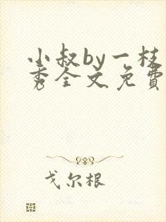 小叔by一枝独秀全文免费阅读笔趣阁最