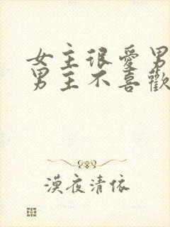 女主很爱男主但男主不喜欢她的小说