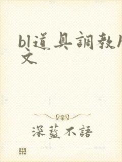 bl道具调教h文