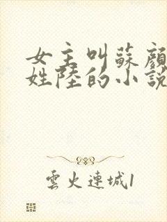 女主叫苏颜男主姓陆的小说封面