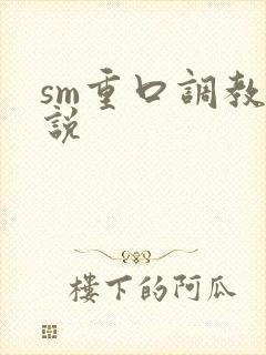 sm重口调教小说封面