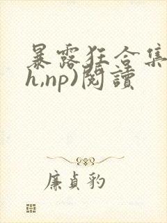 暴露狂合集(高h,np)阅读