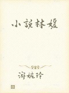 小说林媛