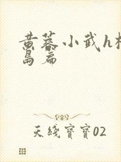 黄蓉小武h桃花岛篇