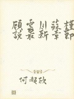 顾云川苏槿月小说最新章节免费阅读封面