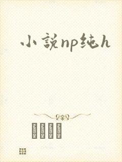 小说np纯h封面