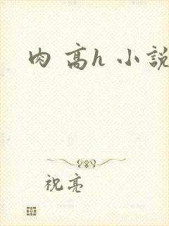 肉 高h 小说封面