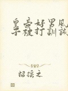 皇帝好男风,太子被打训诫文小说