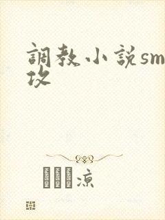 调教小说sm女攻