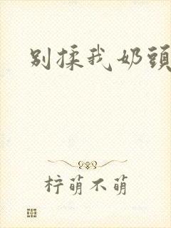 别揉我奶头~嗯封面