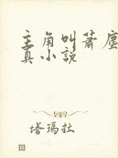 主角叫萧尘的修真小说封面