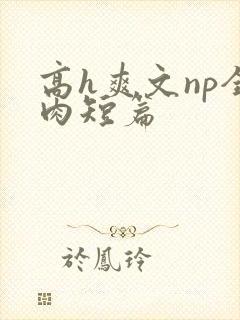 高h爽文np全肉短篇