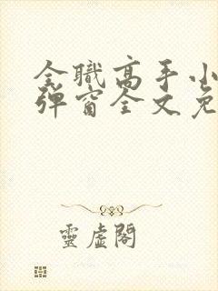 全职高手小说无弹窗全文免费阅读