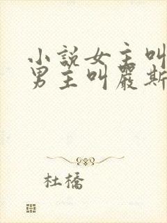 小说女主叫宋栀男主叫严斯年