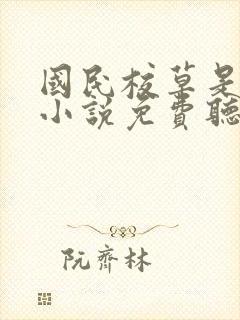 国民校草是女生小说免费听书封面