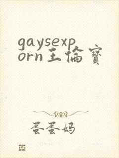 gaysexporn王伦宝