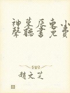 神墓辰东小说有声听书免费