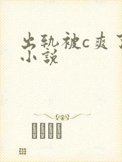 出轨被c爽了h小说