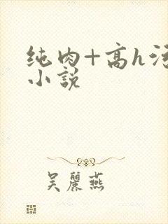 纯肉+高h污黄小说