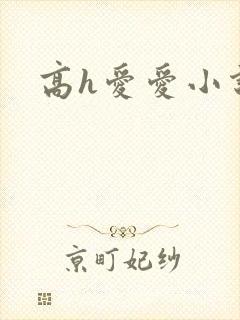 高h爱爱小说