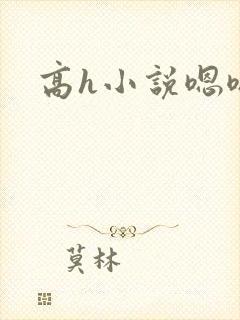 高h小说嗯嗯啊封面