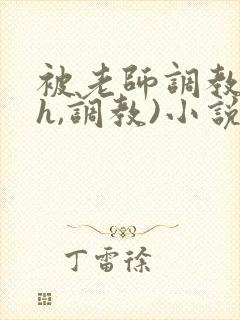 被老师调教(高h,调教)小说