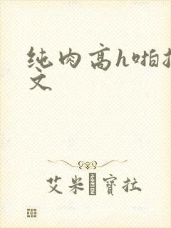 纯肉高h啪总裁文