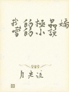 我的极品娇妻沈雪的小说