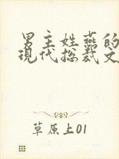 男主姓燕的小说现代总裁文