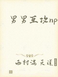 男男互攻np文