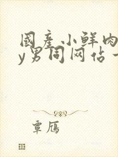 国产小鲜肉gay男同网站一一一一一一一封面